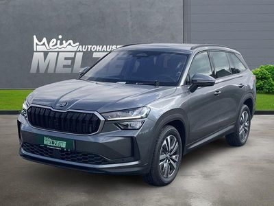 Neu Skoda Kodiaq Selection 150 PS (110 kW) 2026 Grau SUV