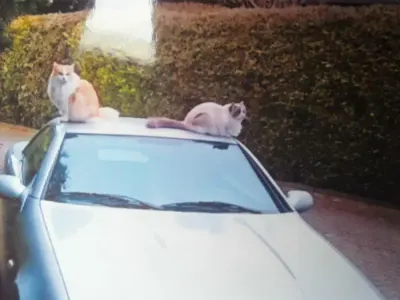 Brugt Mercedes SLK200 136 HK (100 kW) 1998 Sølv Cabriolet