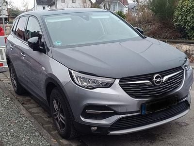 Gebraucht Opel Grandland X Design Edition 131 PS (96 kW) 2021 Silber SUV