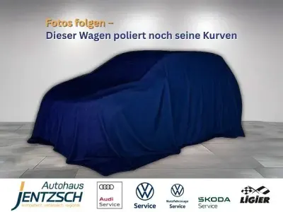 Gebraucht VW Golf VIII Life 110 PS (80 kW) 2024 Grau Limousine
