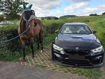 Schwarz Gebraucht 2017 BMW M4 Cabriolet Competition Edition Cabrio | 51.900 €