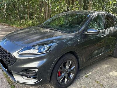 Gebraucht Ford Kuga ST-Line X 190 PS (139 kW) 2021 Grau SUV