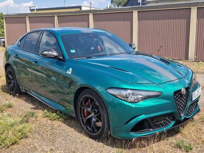 gebraucht Alfa Romeo Giulia Giulia2.9 V6 Bi-Turbo AT8 Quadrifoglio