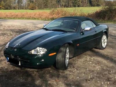 Jaguar XK