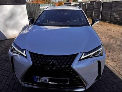 Gebraucht Lexus UX 250h 152 PS (111 kW) 2020 SUV