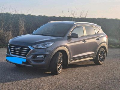 Gebraucht Hyundai Tucson 176 PS (129 kW) 2019 Grau SUV