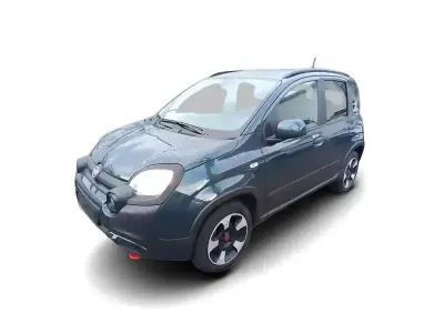 Gebraucht Fiat Panda Cross Cross 2024 Grün Kleinwagen