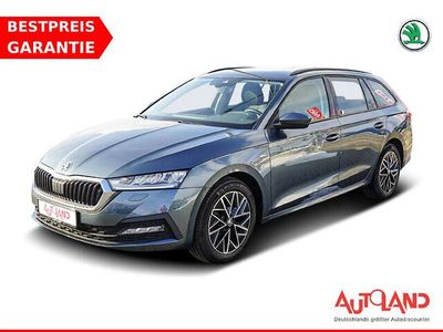 Gebraucht Skoda Octavia Style 110 PS (80 kW) 2021 Grau Kombi