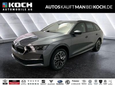 Neu Skoda Octavia Selection 150 PS (110 kW) 2026 Grau Kombi
