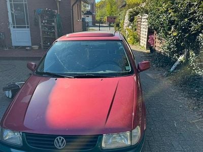 Usata VW Polo 60 CV (44 kW) 1997 Rosso Utilitaria