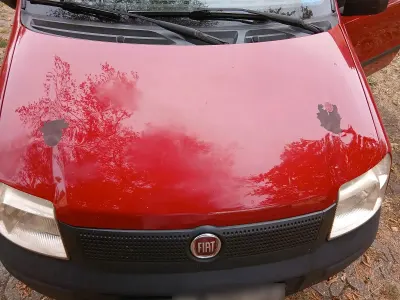 Gebraucht Fiat Panda 60 PS (44 kW) 2009 Rot Kleinwagen