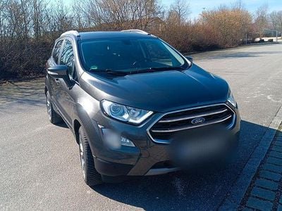 Usata Ford Ecosport Titanium X 140 CV (102 kW) 2019 Grigio SUV
