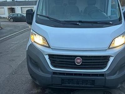 Weiß Gebraucht 2015 Fiat Ducato Van | 9.000 €