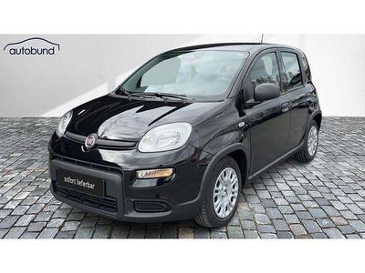 Gebraucht Fiat Panda 69 PS (50 kW) 2024 Kleinwagen