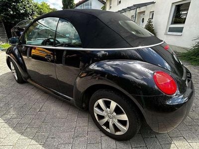 VW Beetle