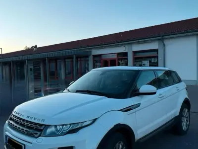 Gebraucht Land Rover Range Rover 150 PS (110 kW) 2014 Weiß SUV