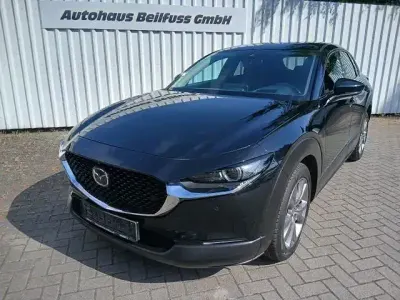 Gebraucht Mazda CX-30 Selection 194 PS (142 kW) 2020 Andere SUV