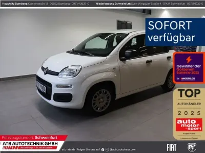 Neu Fiat Panda Icon 65 PS (47 kW) 2026 Weiss Kleinwagen