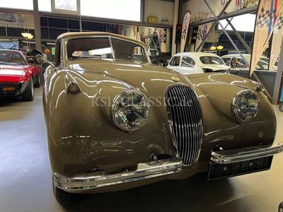 gebraucht Jaguar XK 120 DHC