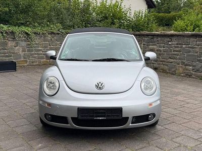 VW Beetle