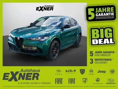 Gebraucht Alfa Romeo Stelvio Quadrifoglio 520 PS (382 kW) 2024 Verde montreal SUV