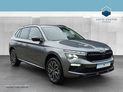 Grau Gebraucht 2025 Skoda Kamiq Tour SUV | 29.610 € (Teuer)
