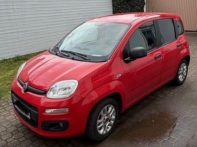 Gebraucht Fiat Panda 69 PS (50 kW) 2018 Rot Kleinwagen