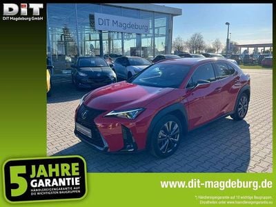 Gebraucht Lexus UX 300h Sport Design Packet 199 PS (146 kW) 2024 Solid red SUV
