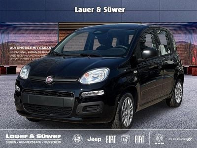 Neu Fiat Panda Icon 65 PS (47 kW) 2026 Schwarz Kleinwagen