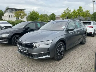 Neu Skoda Octavia 150 PS (110 kW) 2026 Graphitegrau Kombi