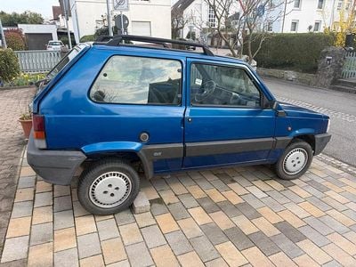 Usata Fiat Panda 40 CV (29 kW) 1996 Blu Utilitaria
