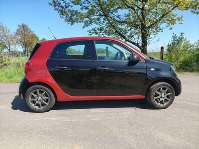 Usado Smart ForFour Basis 61 HP (44 kW) 2016 Vermelho Citadino