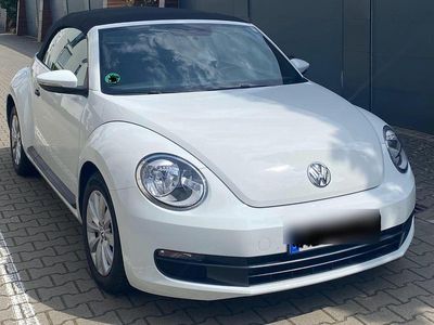 VW Beetle