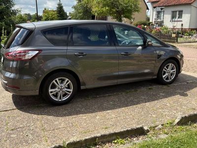 Gebraucht Ford S-MAX Business Edition 150 PS (110 kW) 2019 Grau Van / Kleinbus