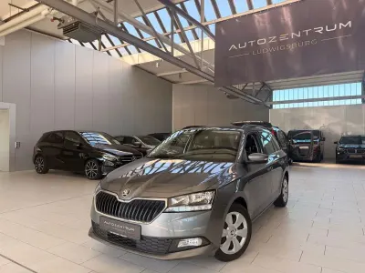Gebraucht Skoda Fabia Ambition 95 PS (69 kW) 2022 Grau Kleinwagen