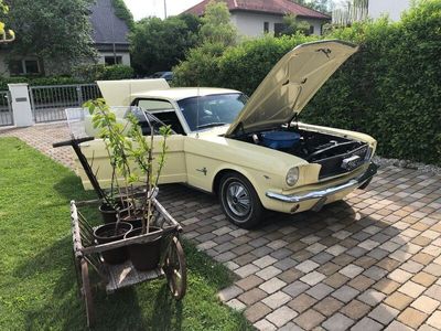 gebraucht Ford Mustang 1966 mit H Zulassung