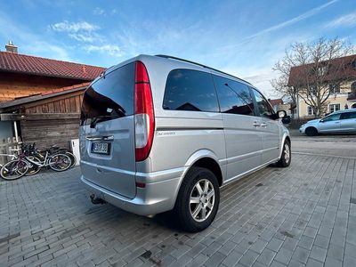 Mercedes Viano