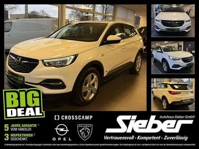 Jade weiss Gebraucht 2021 Opel Grandland X Edition SUV | 16.690 € (Superpreis)