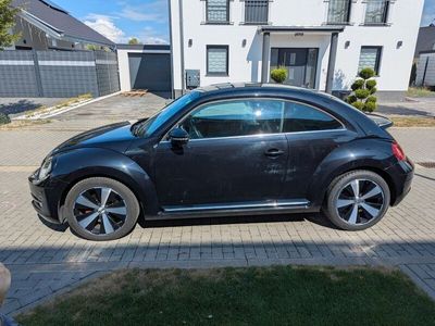 VW Beetle