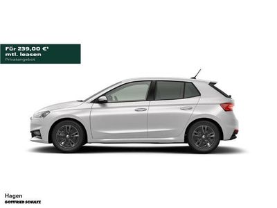 Grau Neu 2025 Skoda Fabia Tour Limousine | 29.560 € (Teuer)