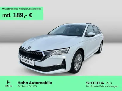 Gebraucht Skoda Octavia Selection 150 PS (110 kW) 2025 Moonweiss metallic Kombi