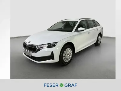 Neu Skoda Octavia Essence 116 PS (85 kW) 2026 Moonweiss metallic Kombi