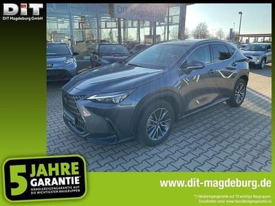 Gebraucht Lexus NX350h Executive Line 243 PS (178 kW) 2024 Obsidiangrau SUV