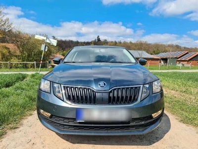 gebraucht Skoda Octavia Octavia1.0 TSI DSG Style