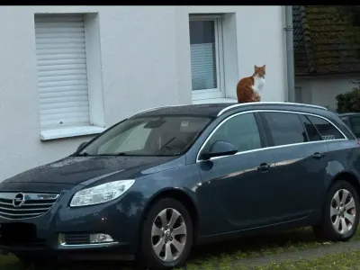 Gebraucht Opel Insignia