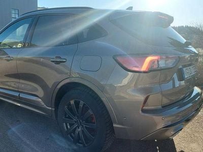 Second-hand Ford Kuga ST-Line 224 CP (164 kW) 2020 Maro SUV