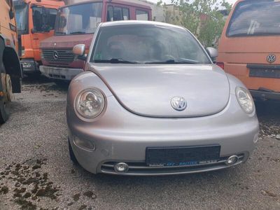 VW Beetle