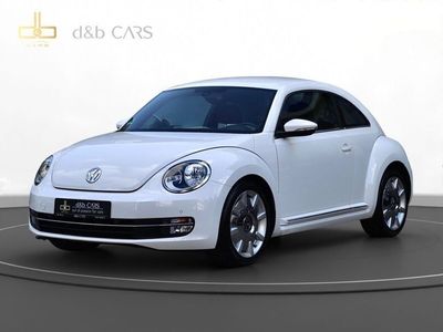VW Beetle