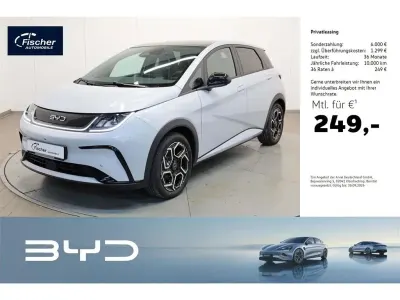 Neu BYD Dolphin Design 150 kW (204 PS) 2026 Skiing white Kleinwagen
