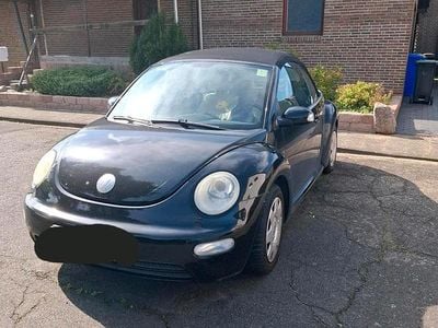 VW Beetle